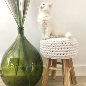 The Cat Tail Stool ♡